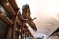 VBS_0940 - Riapre il Museo di Scienze Naturali dopo dieci anni di chiusura